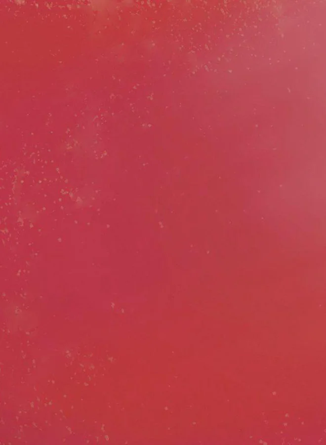 إيسادورا Active All Day Wear Lipstick Coral Love