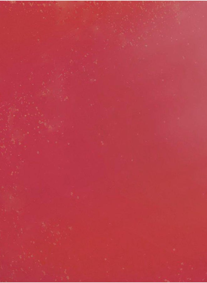 ISADORA Active All Day Wear Lipstick Coral Love  - Image 3
