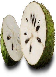 GGOOT 20Pcs Soursop Tropical Fruit Custard Graviola Annona Muricata Seeds  - Image 4