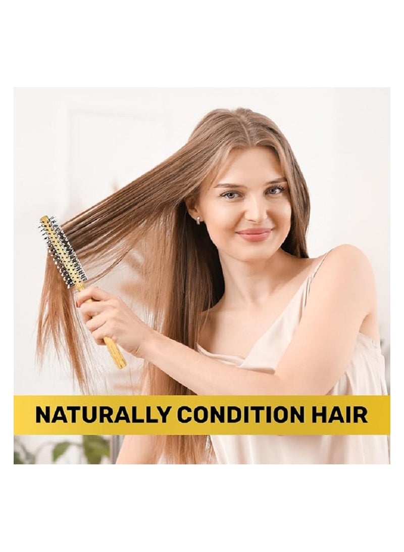 Round Brush, Small, Round Hair Brush for Men and Women to Reduce Frizz, Prevent Dryness and Split Ends, Hair Styling for Men and Women, Detangling Fine Hair and Beard (Heat) - Image 3