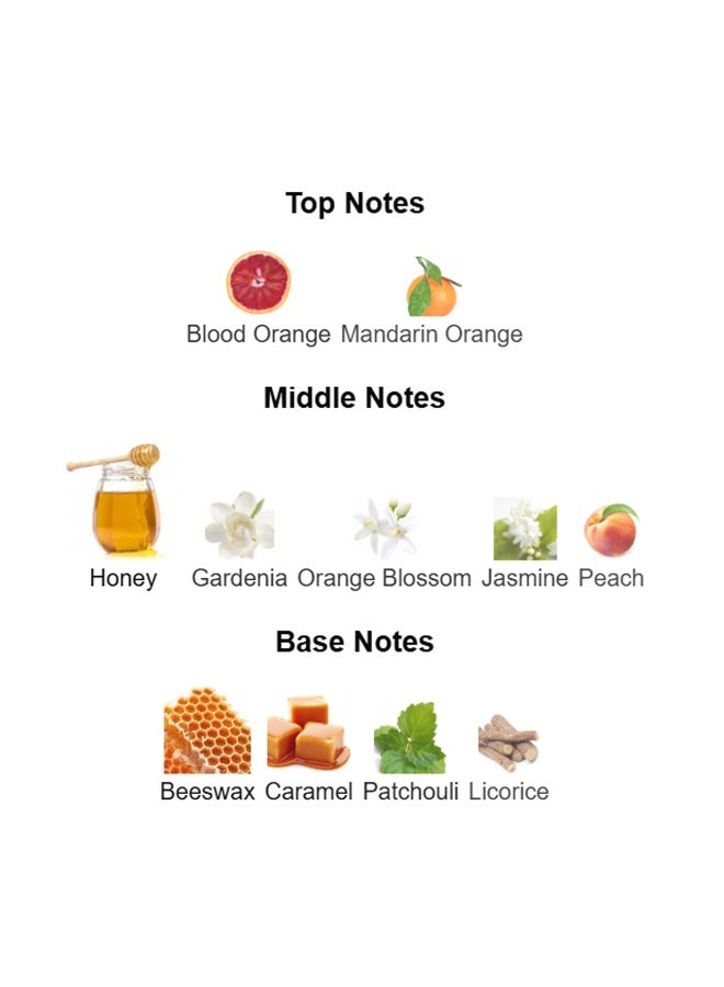 إم بي إف عطر سلاندر للنساء 100 مل - Image 2