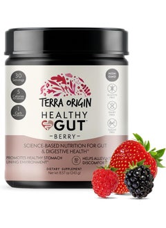 Terra Origin , Healthy Gut, Berry, 8.57 Oz (243 G)  - Image 1