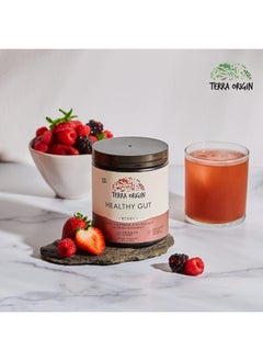 Terra Origin , Healthy Gut, Berry, 8.57 Oz (243 G)  - Image 5