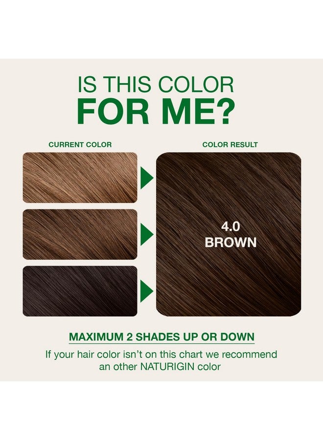 Naturigin Permanent Hair Dye, 4.0 Brown, Ammonia and Paraben Free, up to 100% Gray Hair Coverage, Long Lasting, Vegan, Cruelty Free - Image 2