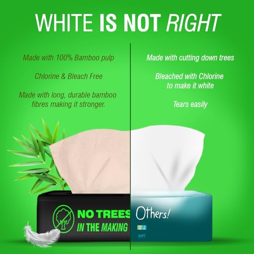 Beco Bamboo Super Soft 2-ply Car Tissue Box| Facial Tissue-100 pulls x 6 Packs (600 Pulls) | 100% Natural & Ecofriendly - Image 4