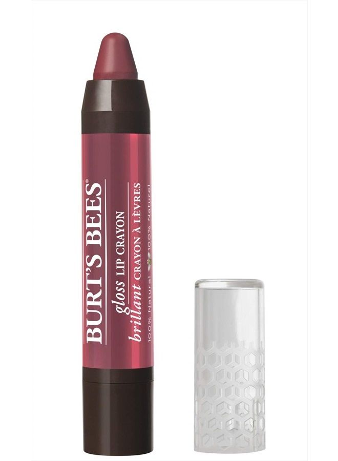 Burt's Bees قلم شفاه مرطب لامع 100% طبيعي، غروب تاهيتي - 1 قلم - Image 1