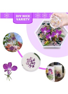 Generic Purple Dried Flowers for Resin Crafts Embellishments, 60PCS Natural Pressed Dried Flowers for Resin Jewelry DIY Phone Case Decor Candle Making Decoration  - Image 4