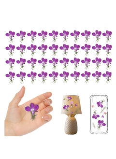 Generic Purple Dried Flowers for Resin Crafts Embellishments, 60PCS Natural Pressed Dried Flowers for Resin Jewelry DIY Phone Case Decor Candle Making Decoration  - Image 1