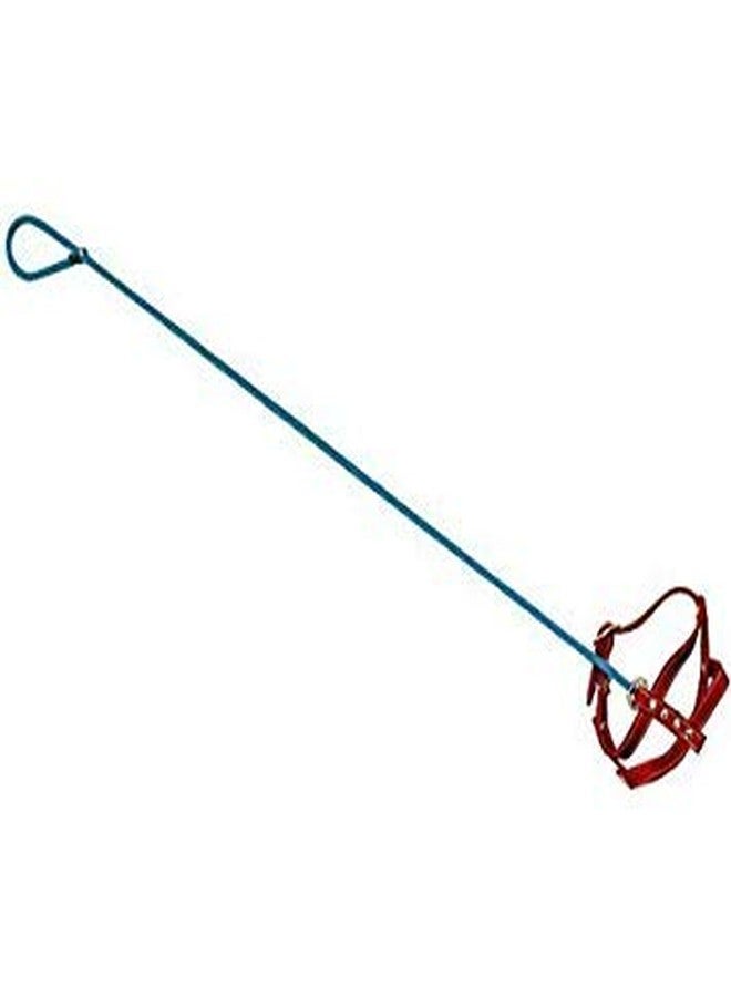 5Star-TD Invisible Dog & Leash