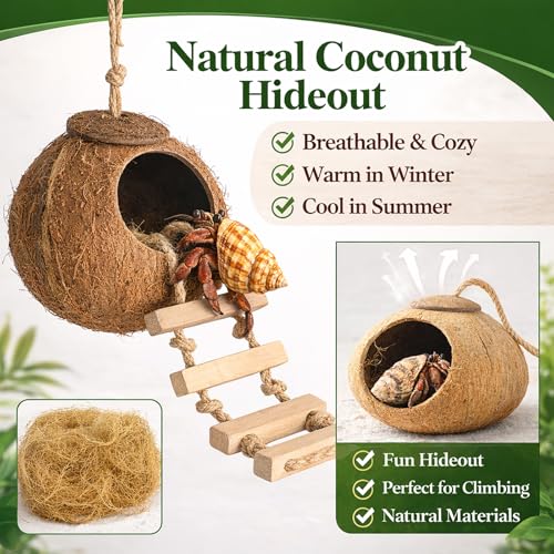 HERCOCCI Gecko Tank Accessories Hermit Crab Toys Coconut Shell Natural Coconut Husk Hut with Climbing Ladder with Suction Cup for Leopard Gecko Snake Reptiles - Image 3