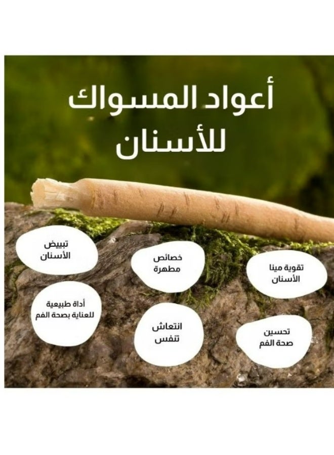 MISWAK 12-Piece Natural Arak Miswak Sticks - Image 4