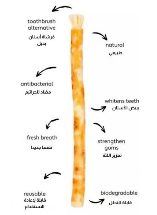 MISWAK 12-Piece Natural Arak Miswak Sticks - Image 5