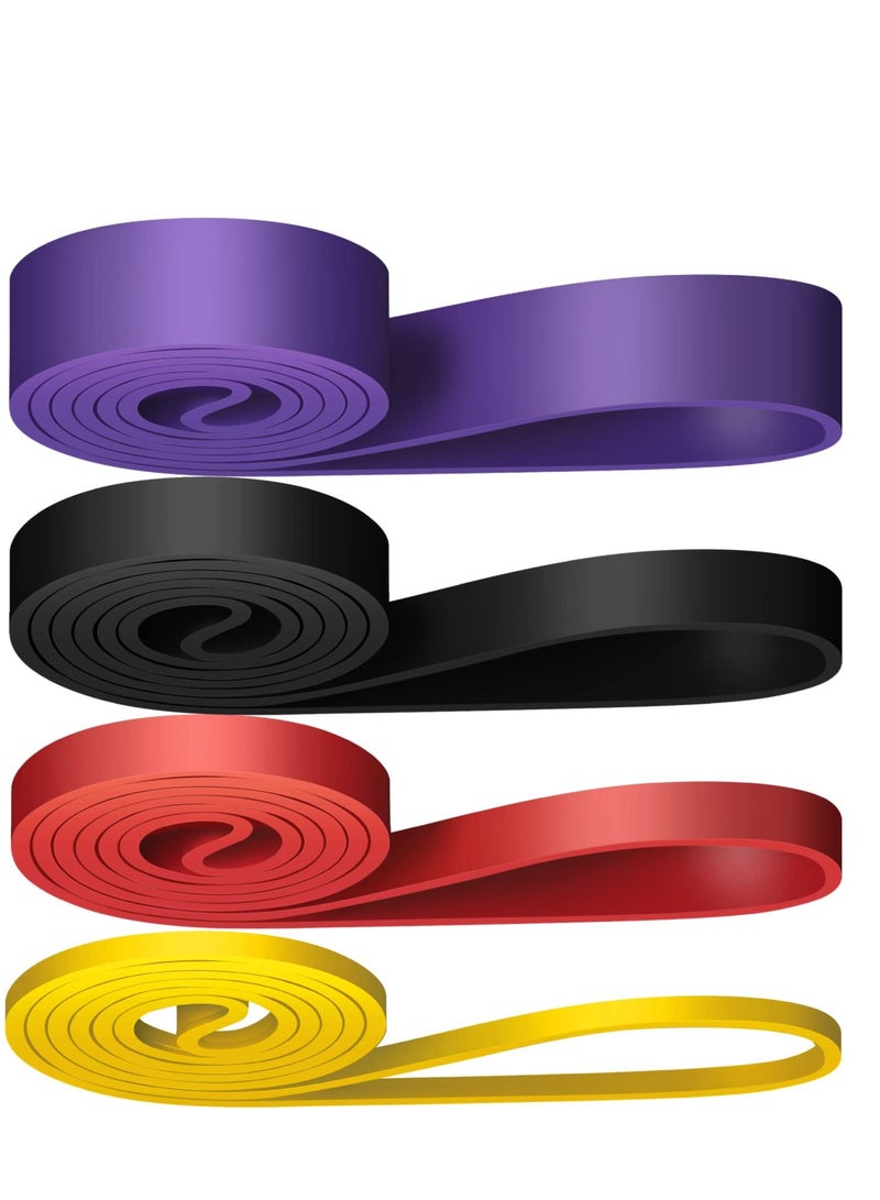 SOLARAE Resistance Bands Set 4pcs, Exercise Bands for Men & Women, Pull Up Assistance Bands, Suitable for Muscle Training, Physical Therapy - Image 2