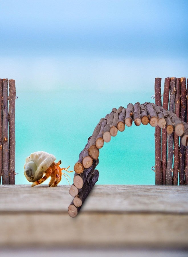 warmfarm Hermit Crab Hideout & Climbing Toys - Large Size Reptile Climbing Decor for Small or Medium Hermit Crab Habitat (Crabs Climb Bridges) - Image 4