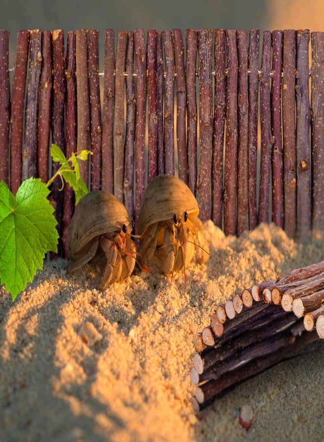 warmfarm Hermit Crab Hideout & Climbing Toys - Large Size Reptile Climbing Decor for Small or Medium Hermit Crab Habitat (Crabs Climb Bridges) - Image 5