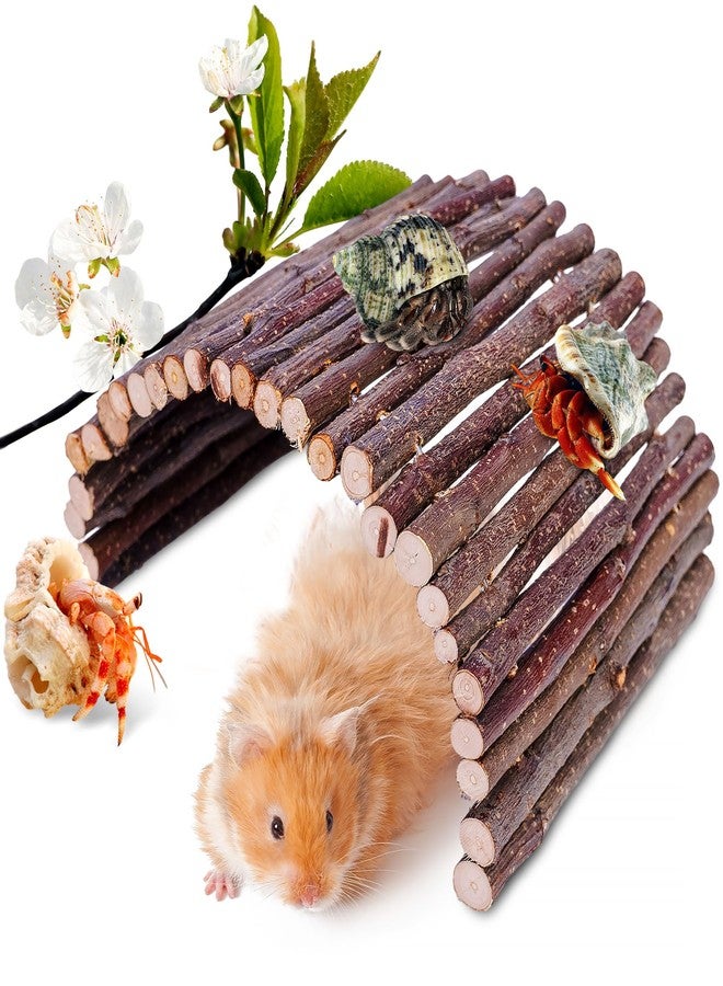 warmfarm Hermit Crab Hideout & Climbing Toys - Large Size Reptile Climbing Decor for Small or Medium Hermit Crab Habitat (Crabs Climb Bridges) - Image 1