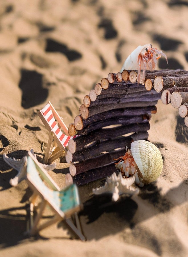 warmfarm Hermit Crab Hideout & Climbing Toys - Large Size Reptile Climbing Decor for Small or Medium Hermit Crab Habitat (Crabs Climb Bridges) - Image 3