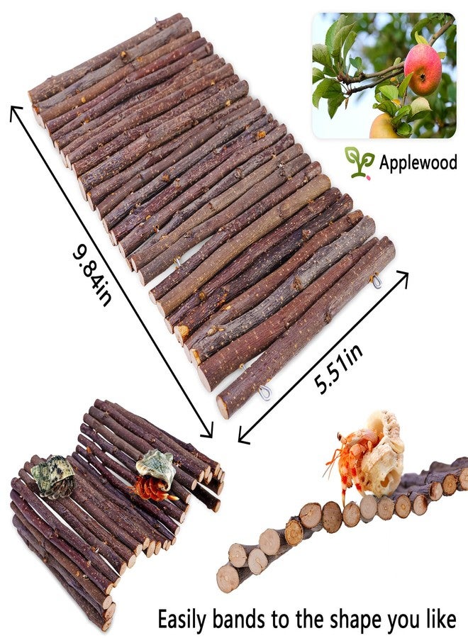 warmfarm Hermit Crab Hideout & Climbing Toys - Large Size Reptile Climbing Decor for Small or Medium Hermit Crab Habitat (Crabs Climb Bridges) - Image 2