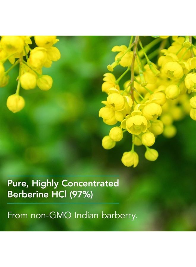 Nutricology Berberine 500 - Metabolic Liver Support - 90 Vegetarian Capsules - Image 4