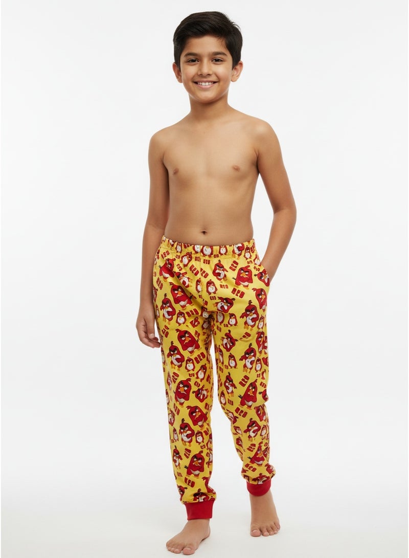 Angry Birds BOYS PAJAMA BOTTOM - Image 2