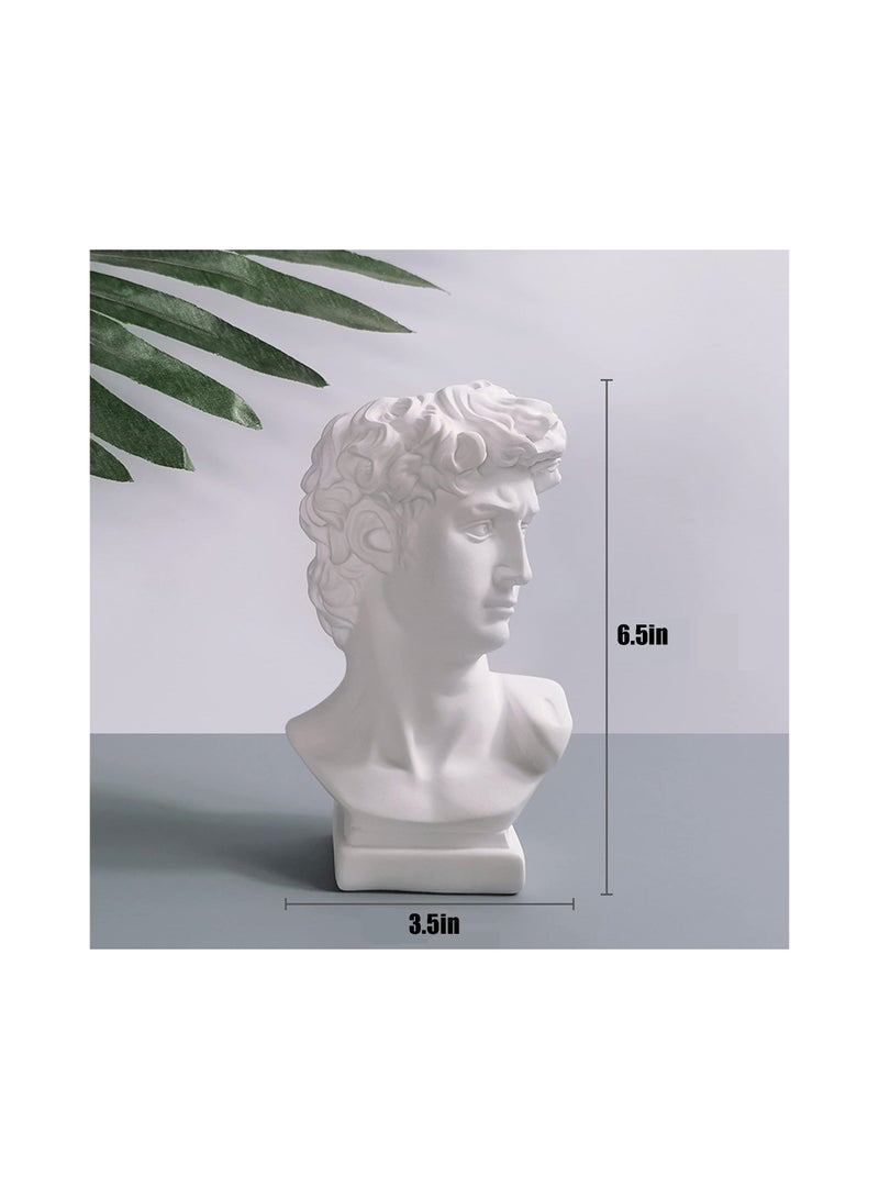 كابتن تيك Head Vase, Hosrnovo Greek Statue Decor David Heads Planter, Roman Style Vintage White Flowers Bowl Creative Housewarming Gift, Decorate Gardening, Bookshelves, Dining Tables(6.5X3.5In)(1 Pack) - Image 3