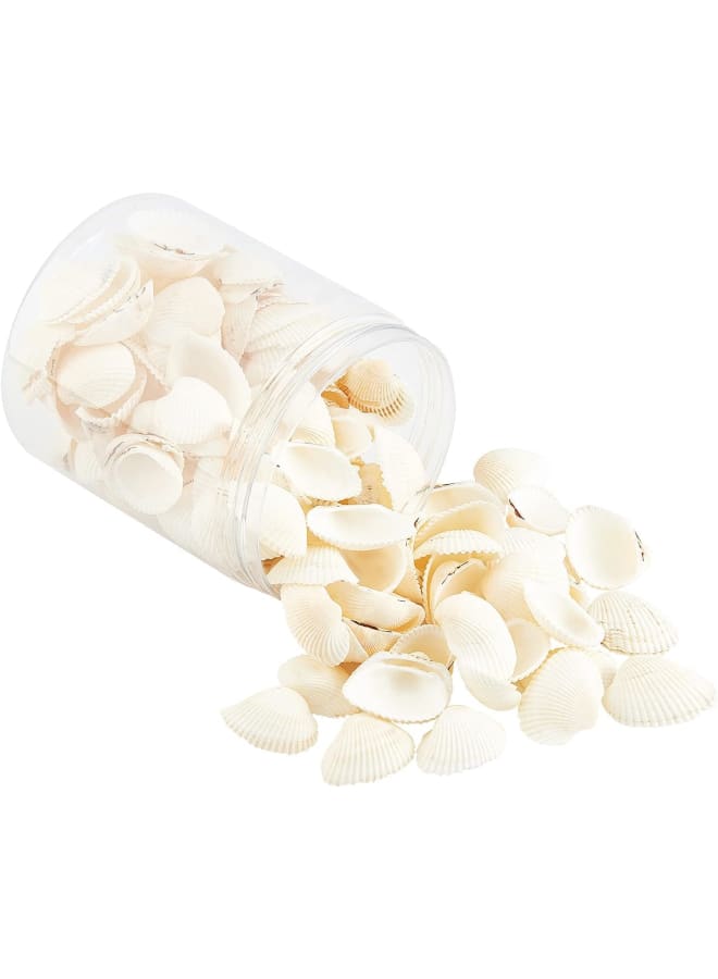 300g White Natural Conch Shell Beads Undrilled/No Hole Tiny Scallop Sea Shells Ocean Beach Seashells Craft Charms for Candle Making Home Decoration Party Wedding Decor  - Image 1