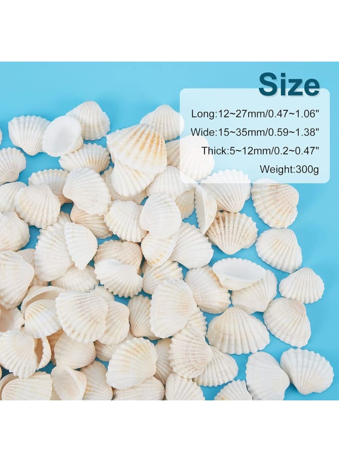 300g White Natural Conch Shell Beads Undrilled/No Hole Tiny Scallop Sea Shells Ocean Beach Seashells Craft Charms for Candle Making Home Decoration Party Wedding Decor  - Image 2