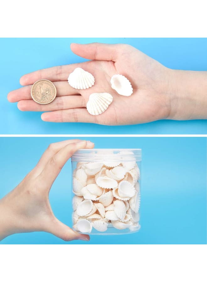 300g White Natural Conch Shell Beads Undrilled/No Hole Tiny Scallop Sea Shells Ocean Beach Seashells Craft Charms for Candle Making Home Decoration Party Wedding Decor  - Image 3