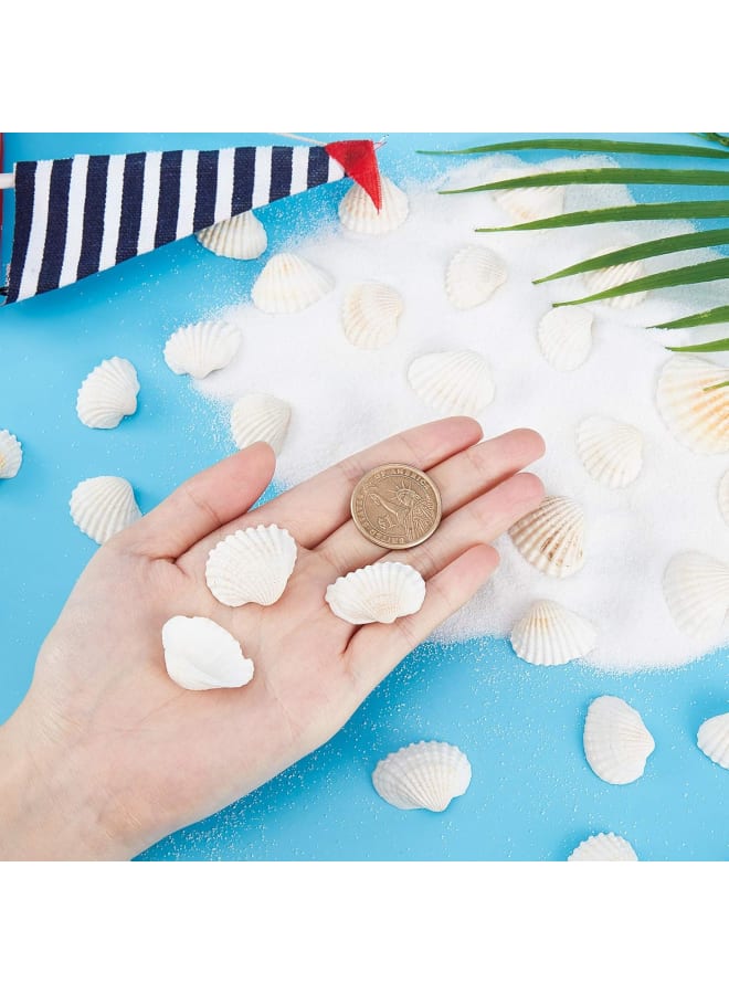300g White Natural Conch Shell Beads Undrilled/No Hole Tiny Scallop Sea Shells Ocean Beach Seashells Craft Charms for Candle Making Home Decoration Party Wedding Decor  - Image 4