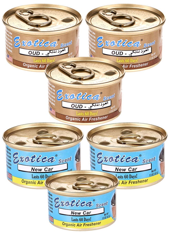 EXOTICA Organic Air Freshener Value Pack 6 pcs, New Car Scent-3 and Oud Scent-3 - Image 1