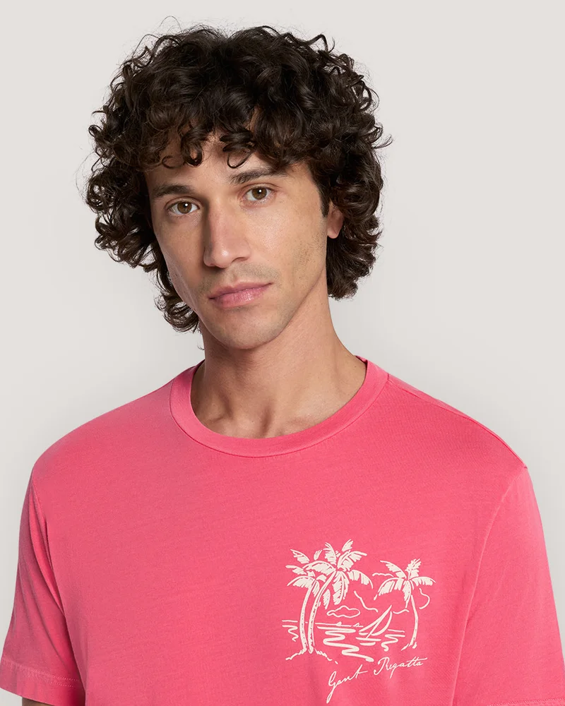 GANT Gant Sunfaded Printed Tshirt