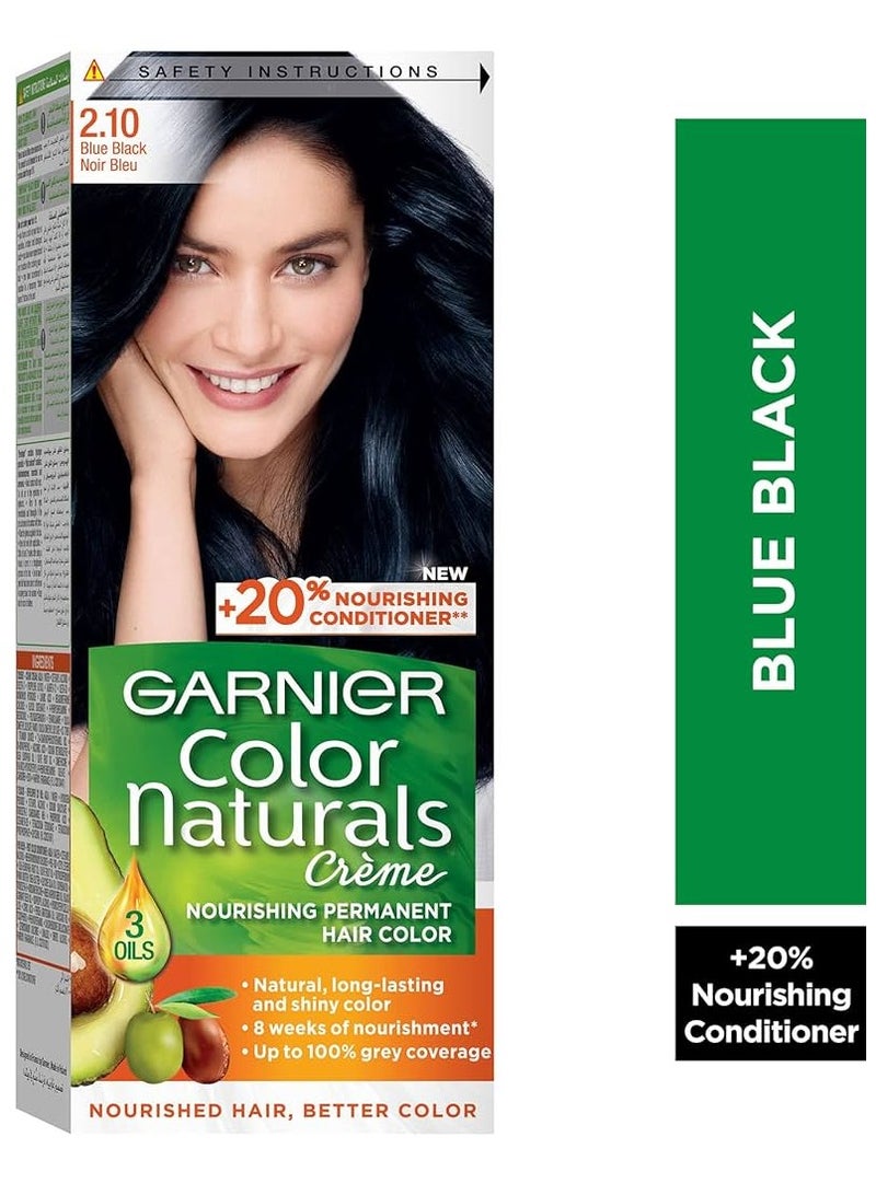 garnier COLOR NATURAL 2.1 BLUE BLACK - Image 1