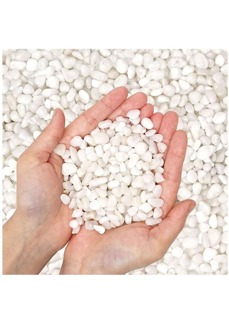 vsell24 3-5mm White Decorative Pebbles Natural River Rock Pebbles for Plants, Home DIY Decor,Aquarium Gravel,Vase Fillers,Fairy Garden,Landscaping Outdoor Stones 5KG - Image 3