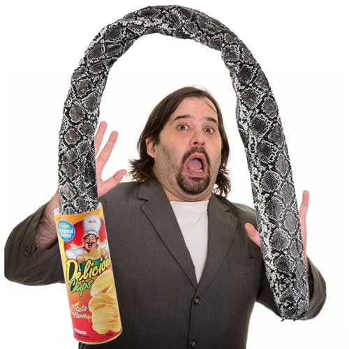 Winbar Prank Gifts for Kids Funny Classic Snake in a Can Prank for Kids Magic Potato Chip Cans Fries Toys April Fools Day and Halloween Party Decoration - Image 1