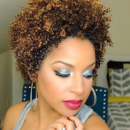 Ms Taj Short Afro Kinky Curly Human Hair Wigs for Black Women Brazilian Virgin Short Curly Afro Wigs None Lace 150% Density Unprocessed Afro Wig Human Hair Curly Machine Made (DX 4/33/30) - Image 1