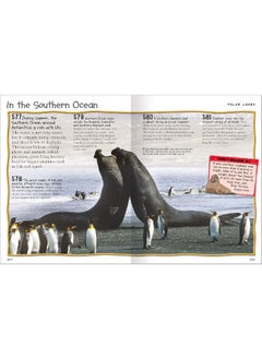 Fantastic Earth Facts (384 Pages)  - Image 2