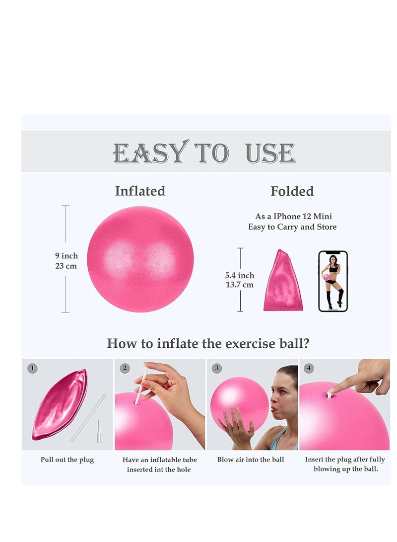 سيوسي كرة رياضية صغيرة ، كرة تمارين صغيرة مع ماصة قابلة للنفخ لليوجا ، والبيلاتس ، والثبات ، والباري ، والعلاج الطبيعي ، والتمدد والتدريب الأساسي ، وتحسن التوازن والقوة (المنزل والجيم والمكتب) - Image 3