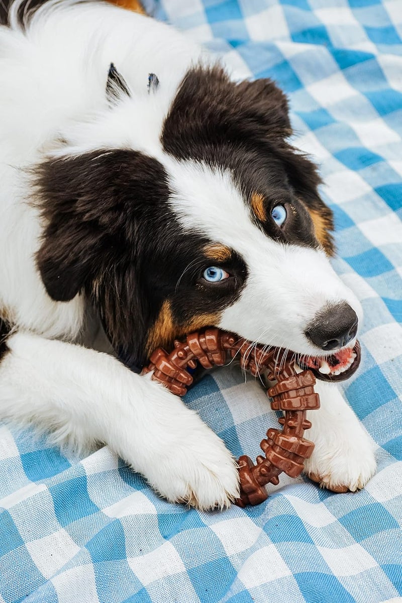 Nylabone Power Chew Textured Dog Chew Ring Toy - Durable Chew Toy for Aggressive Chewers, Flavor Medley, X-Large/Souper - Image 2