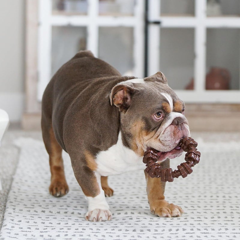 Nylabone Power Chew Textured Dog Chew Ring Toy - Durable Chew Toy for Aggressive Chewers, Flavor Medley, X-Large/Souper - Image 5