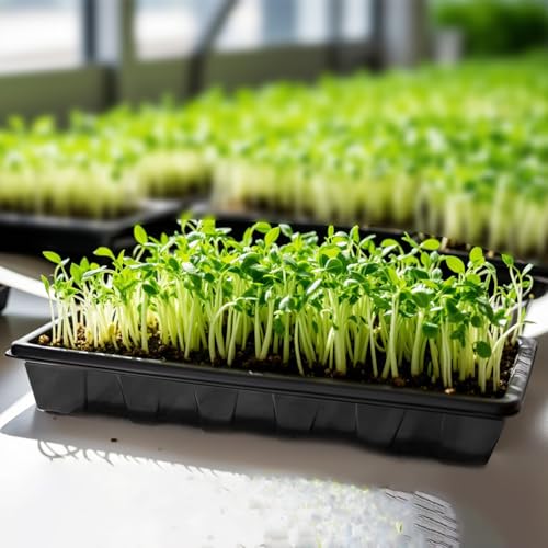 XCRUI 10Pack Seed Starting Trays, Strong Plastic Growing Plant Tray, Seed Tray, Seedling Trays for Greenhouse and Flowers, Wheatgrass, Sprouting - Image 4