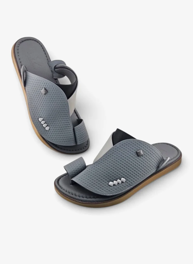 الفانوس الفانوس: سيغنتشر رويال