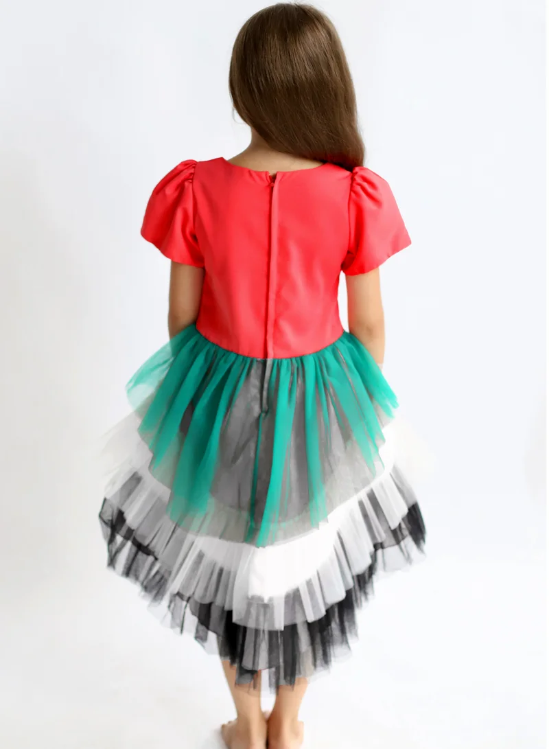 دىدانيالا فستان علم اليوم الوطني الإماراتي للفتيات من تصميم دانييلا