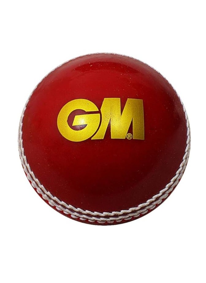 GM 1600941 Leather Tennis Cricket Ball | Material: Leather | For Cricket Tournament, Street Match Cricket Ball | Cricket Training Ball  - Image 4
