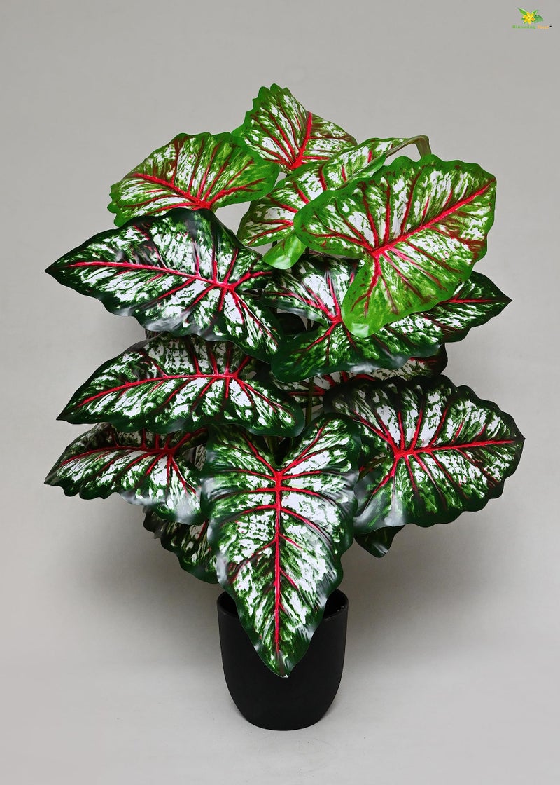 Blooming Floret Polyester Artificial Plant Tropical Caladium 78.7 Cm Tall Plant|18 Leaves|With Basic Black Pot|Ornamental Plant For Interior Decor/Home Decor/Office Decor|Big Indoor Plant|Durable - Image 5