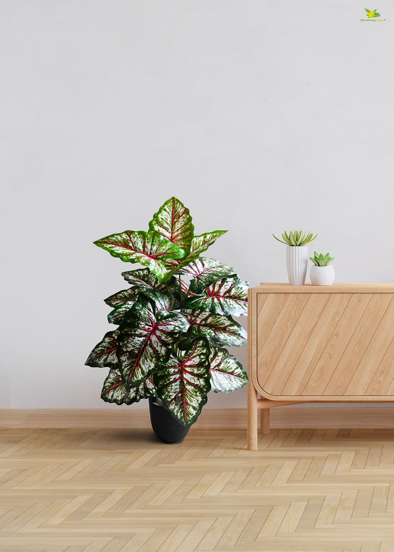 Blooming Floret Polyester Artificial Plant Tropical Caladium 78.7 Cm Tall Plant|18 Leaves|With Basic Black Pot|Ornamental Plant For Interior Decor/Home Decor/Office Decor|Big Indoor Plant|Durable - Image 4