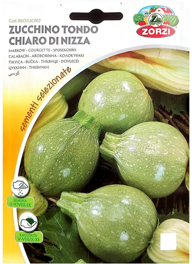 ZORZI - ZUCCHINO Tondo CHIARO di Nizza Seeds - Image 1