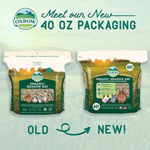 Oxbow Animal Health Organic Meadow Hay, Guinea Pig & Rabbit Hay, Small Pet Bunny Supplies, All Natural Grass for Guinea Pig, Bunny, Chinchilla & Hamster, Rabbit Supplies for Bunnies, 40 oz Bag - Image 2