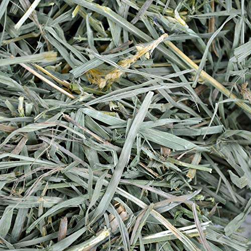 Oxbow Animal Health Organic Meadow Hay, Guinea Pig & Rabbit Hay, Small Pet Bunny Supplies, All Natural Grass for Guinea Pig, Bunny, Chinchilla & Hamster, Rabbit Supplies for Bunnies, 40 oz Bag - Image 5