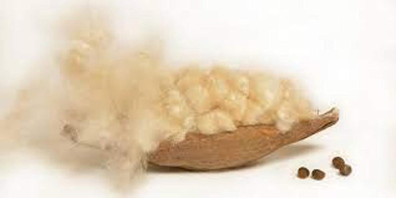 VG MattressOrganic Silk CottonkapokIlavam PanjuSemal Sleeping Pillows Size25 x 15 inches Pack of 2 - Image 5