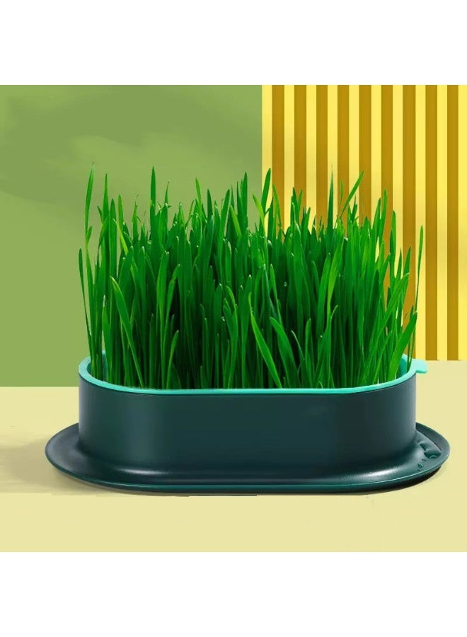 وعاء زراعة عشب مائي للقطط (بدون بذور)، وعاء بلاستيكي للحيوانات الأليفة - Image 3